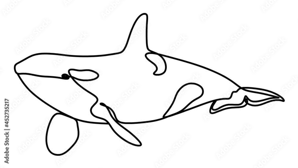 Whale Whale