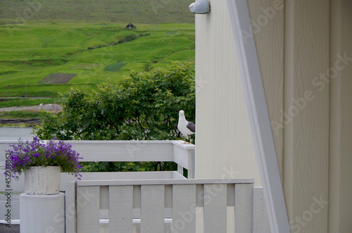 Beautiful rock cliff coast line meadow gras nature scenery on Faroe Islands with breathtaking landscape, popular cruise travel destination in Atlantic Ocean near Polar Circle for expedition tours photo