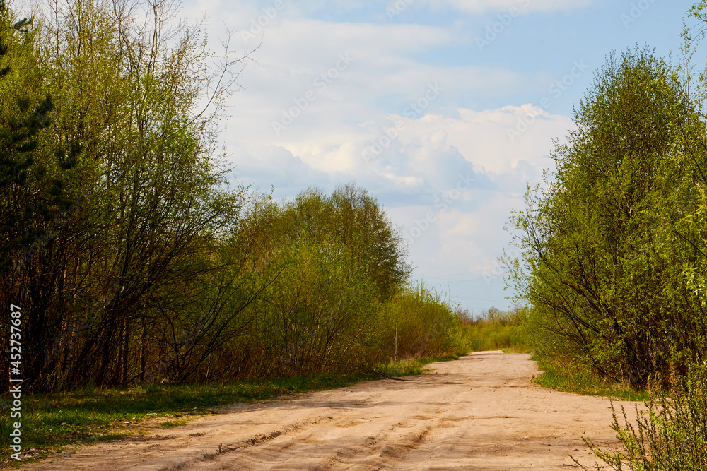 Trees and bushes along straight rural dirt road in Russia Trees and bushes along straight rural dirt road in Russia