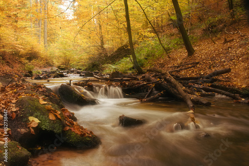 Beautiful fall colors around running water in a stream at Karlstal Gorge in Germany.