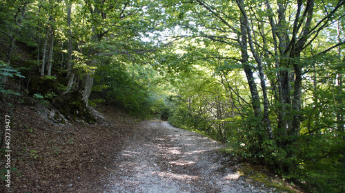 Sentiero sul Monte Catria nelle Marche