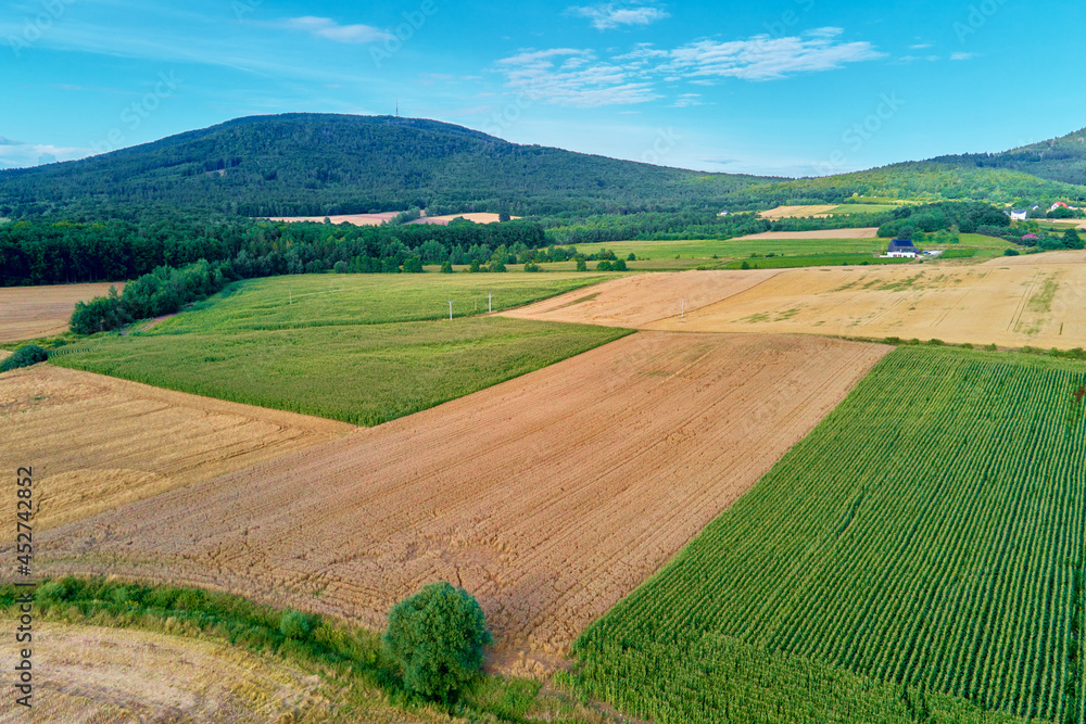 Aerial view of agricultural and green fields in countryside. Nature landscape in summer day, panorama
