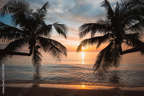 Silhouette of palm trees beautiful sunset on the tropical sea beach background for travel in summer holiday relax time