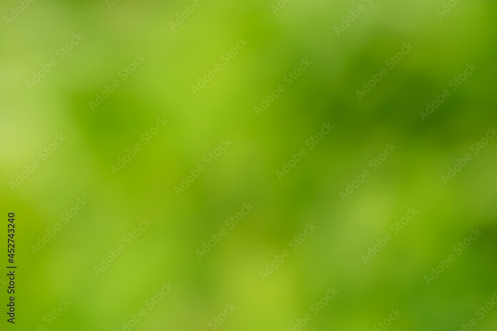 Green blurred natural pointless background for your design or background Green blurred natural pointless background for your design or background