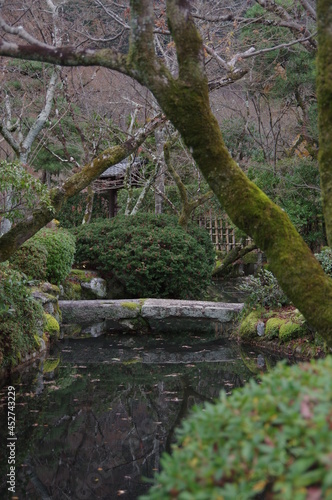 traditional japanese style garden with pond and tree trunks near Kiyomizudera temple in autumn Kyoto, Japan