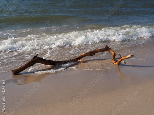 Ślady stóp odciśnięte na plaży