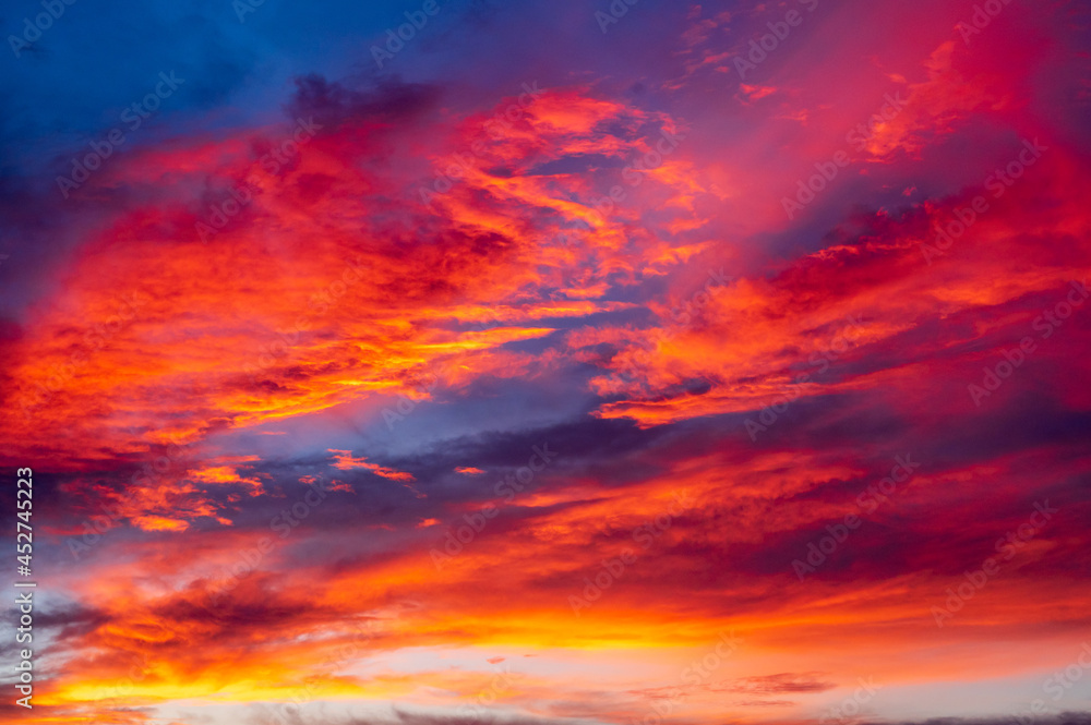 Fototapeta premium The warm sunshine before the sunset in the evening in the countryside.