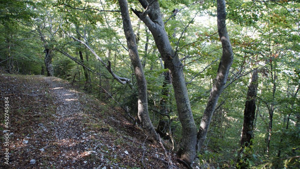 Fototapeta premium Sentiero sul Monte Catria nelle Marche