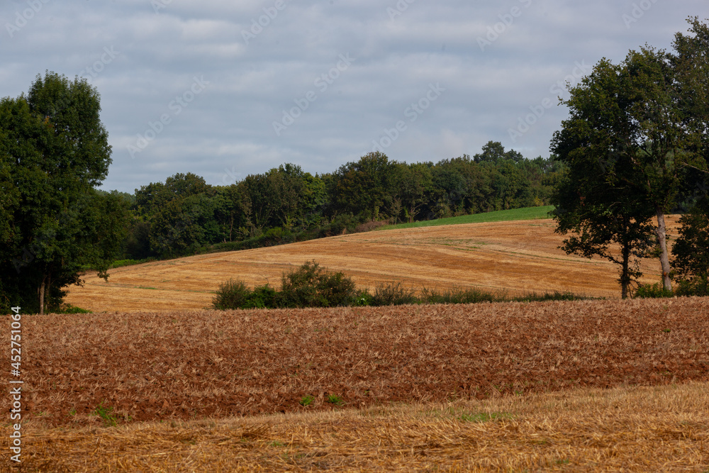Un paysage agricole, des champs de différentes couleurs entourés d´arbres verts.