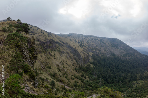 landscape with fog and forest   panor  mica con neblina y bosque  Parque Nacional Cumbres del Ajusco  M  xico. 