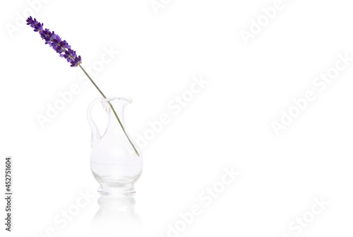 Stalk of beautiful lavender in a dish on a white background