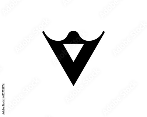 V and vv letter logo design vector template photo