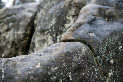 close up of sandstone rocks covered with green moss and lichens during fall season