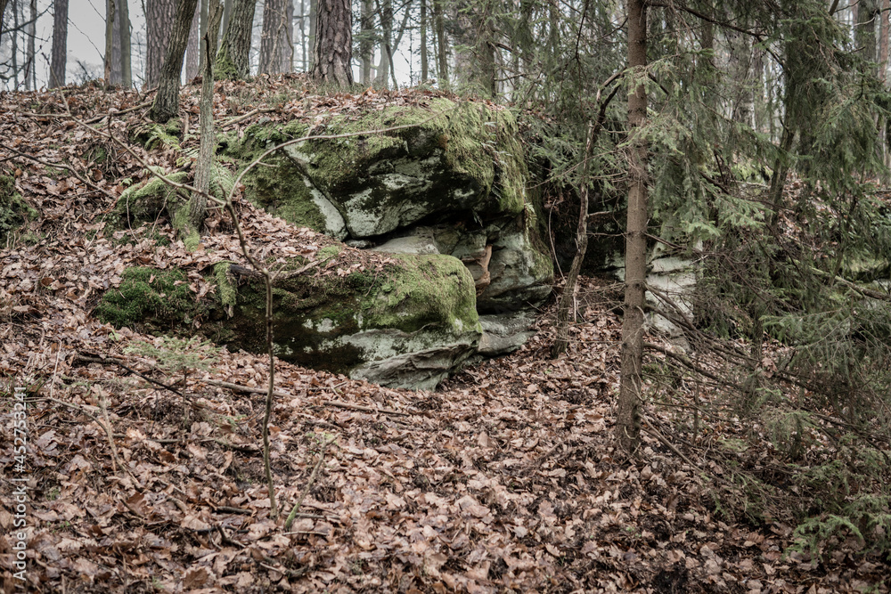 landscape with sandstone rock formation in the forest