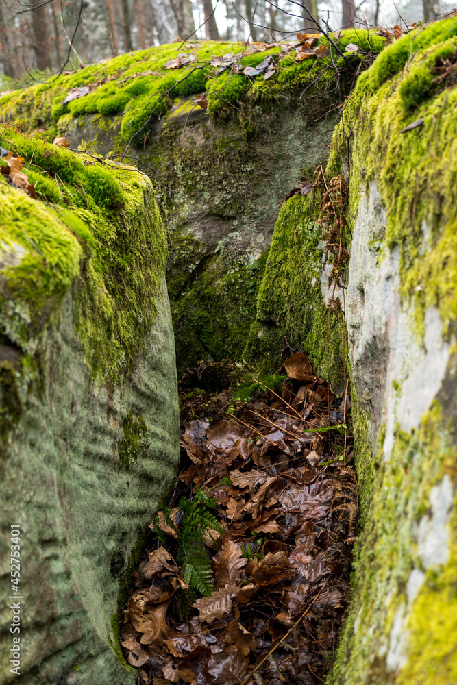 close up of sandstone rocks covered with green moss and lichens during fall season