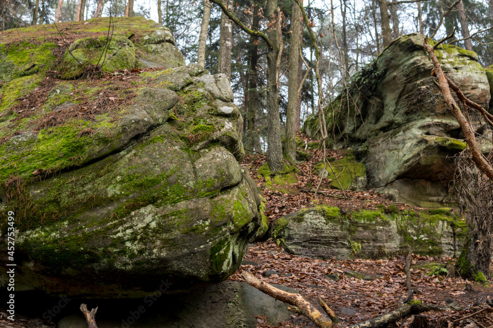 Fototapeta premium rocks near adamow nature reserve