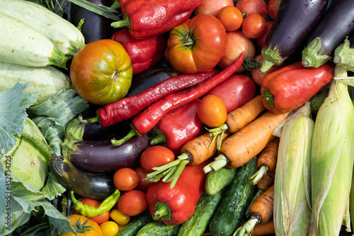 Harvest of vegetables