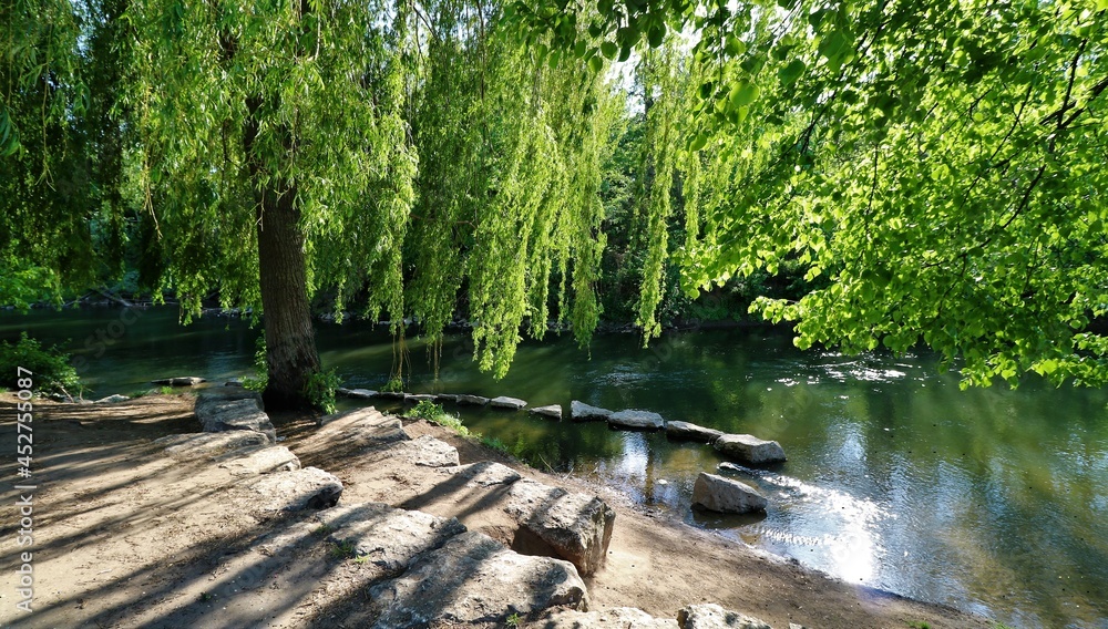 Baum am Fluss
