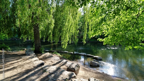 Baum am Fluss