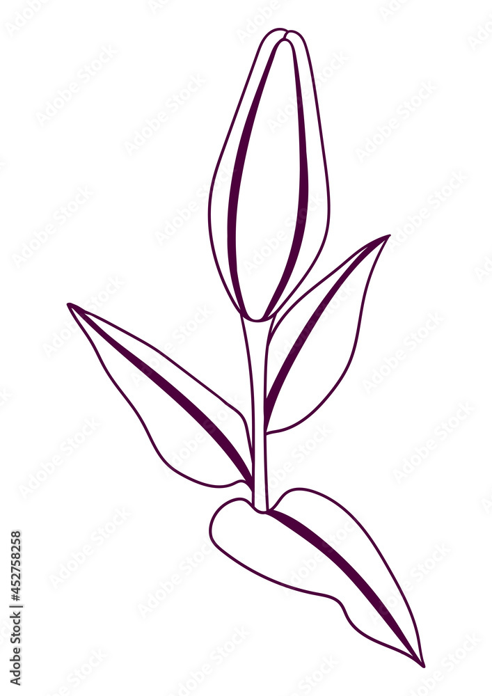 Naklejka premium Illustration of stylized lily flower. Decorative image of beautiful bud.