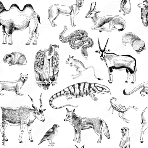 Hand drawn seamless pattern of desert animals