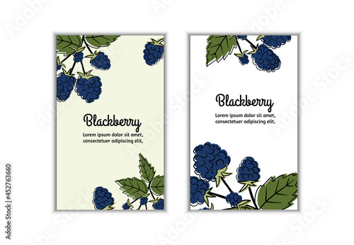 Great for labels, poster, prints. Vector illustration of blueberries