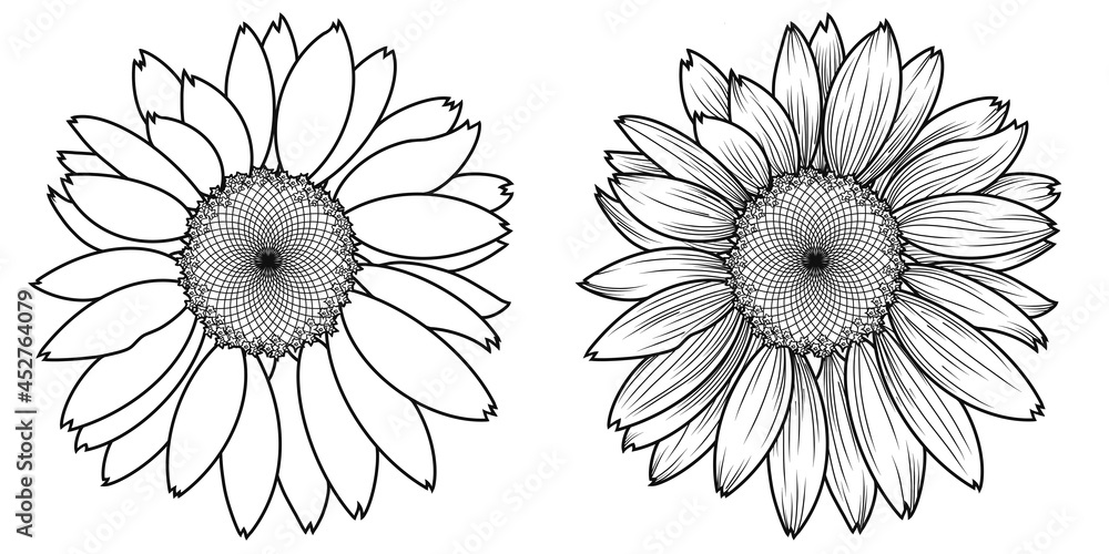 Monochrome set of two sunflower flowers