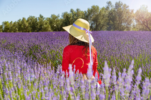 Back view of a young woman kneeling in blooming lavender field. She is wearing a large straw hat with a long purple ribbon, a red blouse and white short pants. The sun reflections highligt the scene. photo