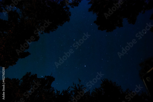 night sky in the backyard