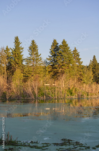 Astotin Lake in the Evening