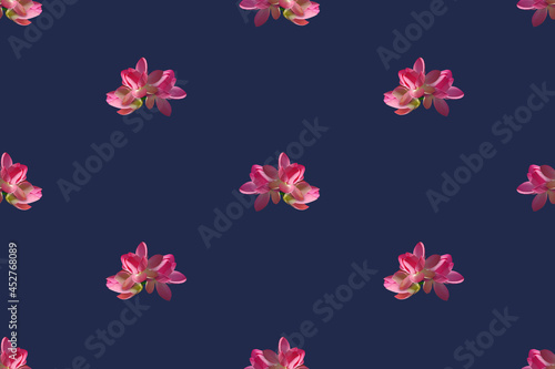 Seamless pattern with pink lotus flowers on a blue background.