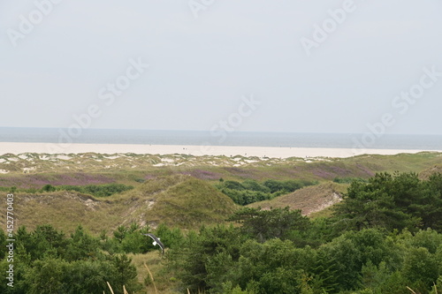 Panorama über die Dünen und Strand auf der Insel Amrum