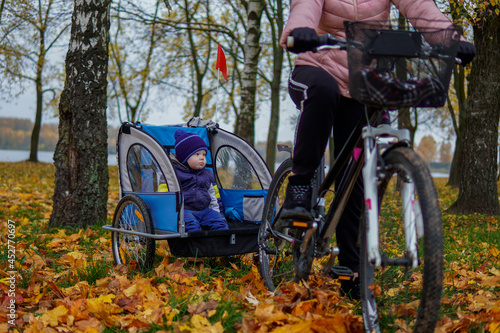 mom go on a bike and transport her son to a children bike trailer in the autumn.