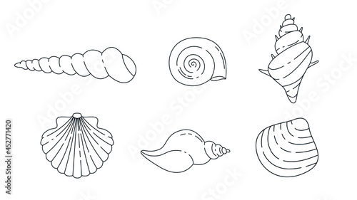 Seashells outline elements collection. Aquatic shells, snails line isolated set. Different ocean creatures in contour design. © SickleMoon