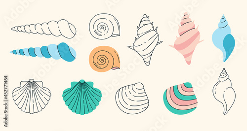 Seashells simple elements collection. Oceanic marines flat isolated set. Different aquatic snails in trendy flat design.   © SickleMoon