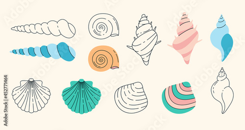 Seashells simple elements collection. Oceanic marines flat isolated set. Different aquatic snails in trendy flat design.	
