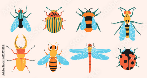Insects simple elements collection. Meadow bugs and beetles flat isolated set. Different flies in trendy flat design.