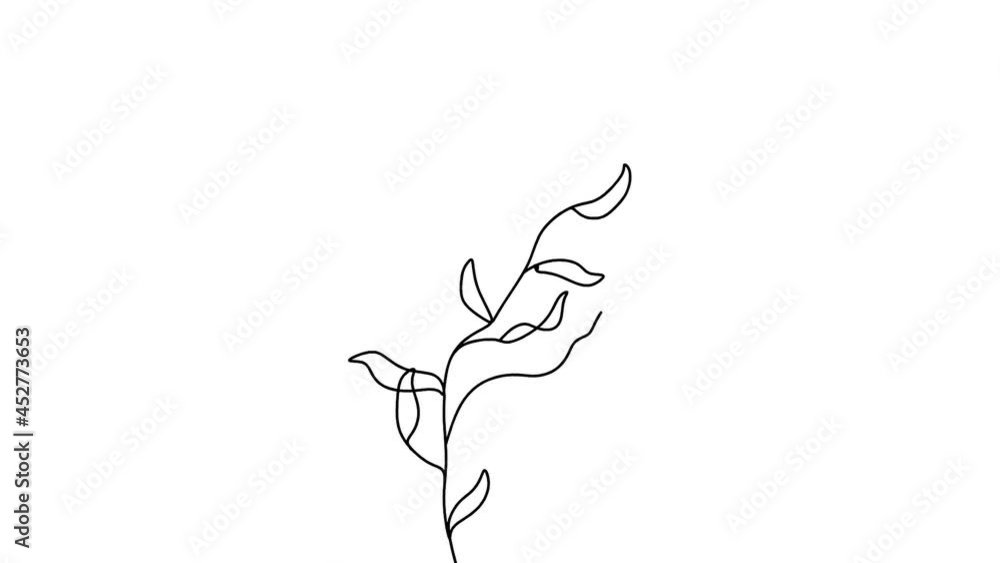 Botanical plants line Botanical plants line