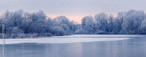 Fotografi Frost-covered trees on the banks of an ice-bound river in the morning during sun