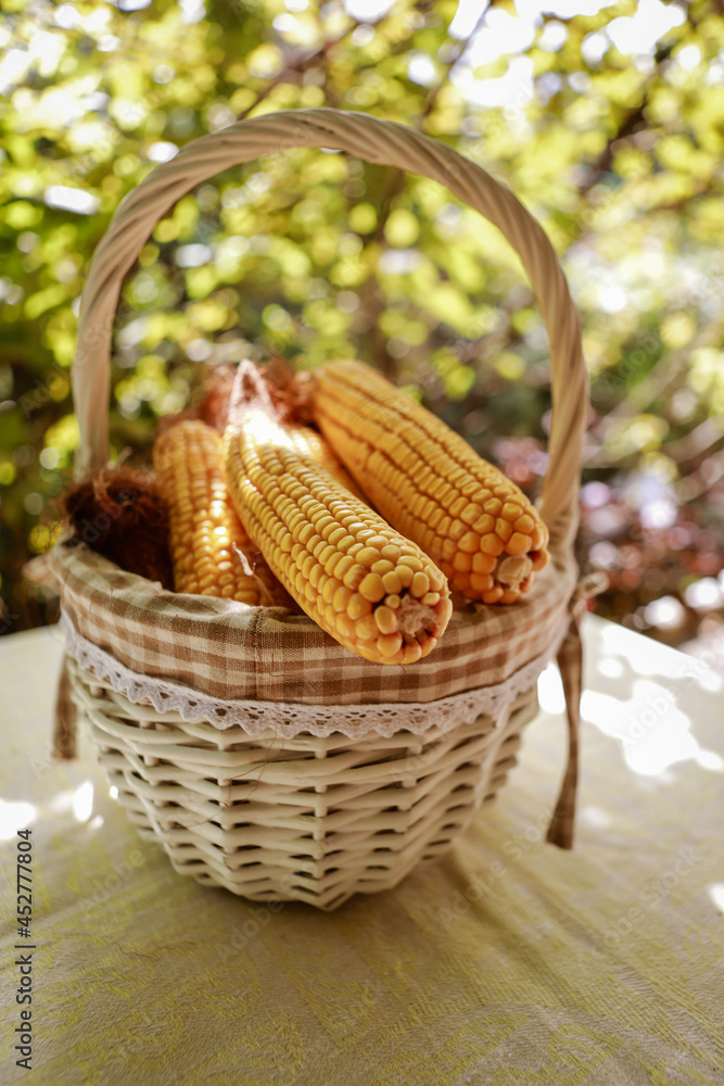 full basket of fresh raw corn