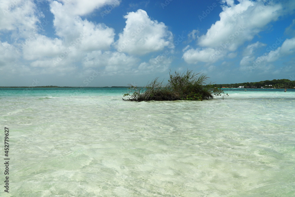 beach with sky