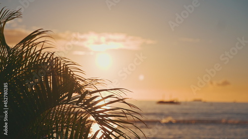 The leaves of a coconut tree sway in the wind against the blue sky at sunset. Incredibly beautiful sunset at Waikiki Beach, Oahu, Hawaii.
