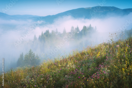 Grassy hill in a misty mountains