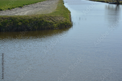the river in the field tulip
