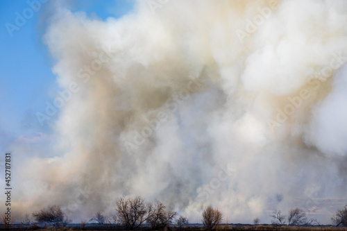 lots of smoke from a fire in a field with trees