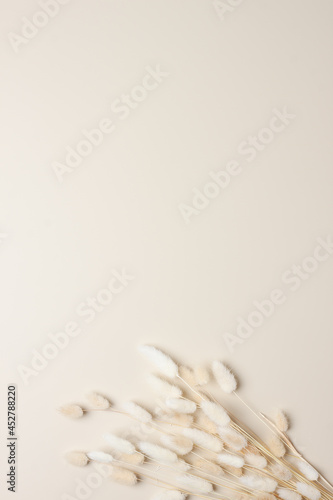 Cosmetic background with flowers on pastel beige. Flat lay, copy space