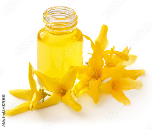 Forsythia with essential oil in a bottle photo