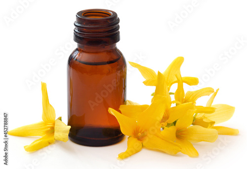 Forsythia with essential oil in a bottle photo