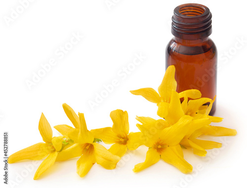 Forsythia with essential oil in a bottle photo