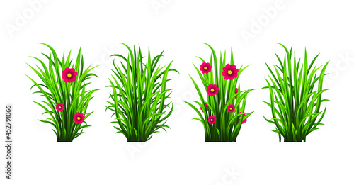 Green Fresh Grass with Flowers and Herb Isolated on Transparent Background. Vector Illustration.	
